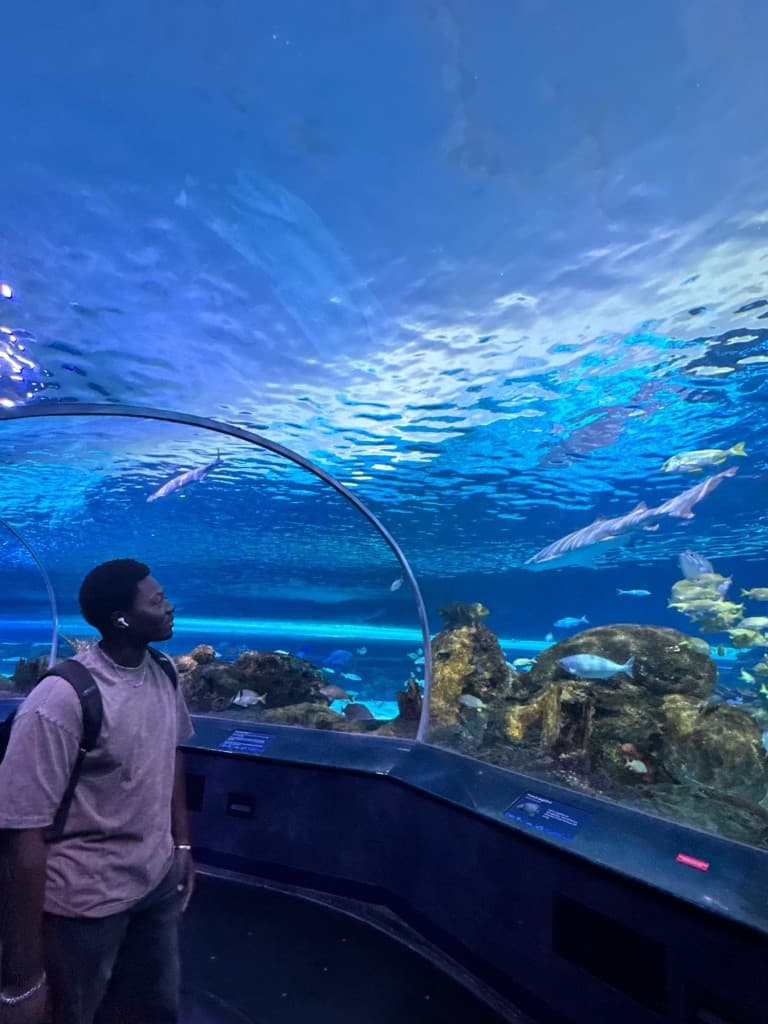 Rayann visiting an aquarium tunnel with sharks and tropical fish.